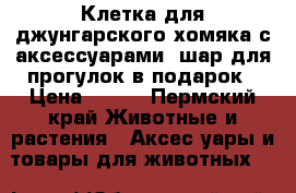 Клетка для джунгарского хомяка с аксессуарами, шар для прогулок в подарок › Цена ­ 800 - Пермский край Животные и растения » Аксесcуары и товары для животных   